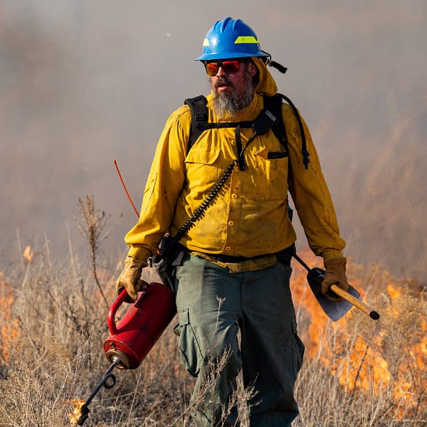 texas wildfire reforms